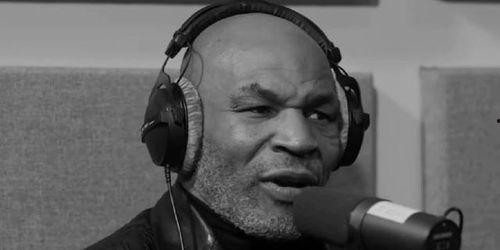 泰森最新爆料动物,动物世界的惊人真相与惊人瞬间